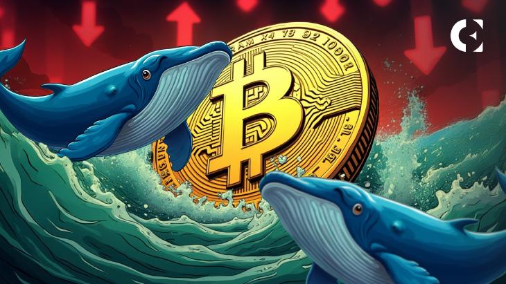 比特币因地缘政治新闻下跌,但链上数据显示大额交易者正在买入